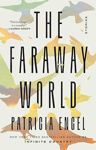 The Faraway World - Stories